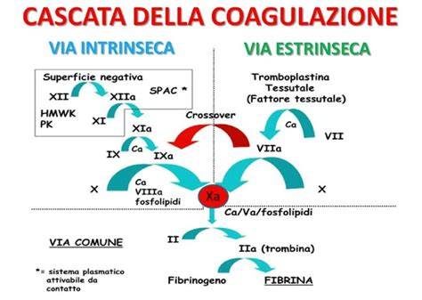 grafico coagulazione piastrinica perioperatoria