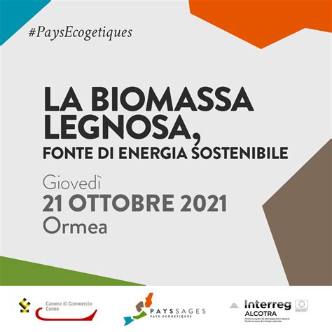 flag biomassa energia sostenibile