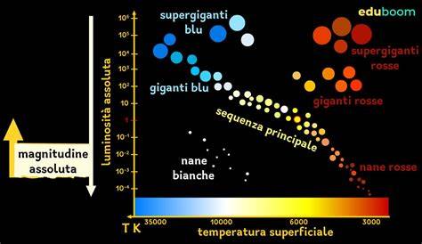 diagramma giunti Astore e dimensioni