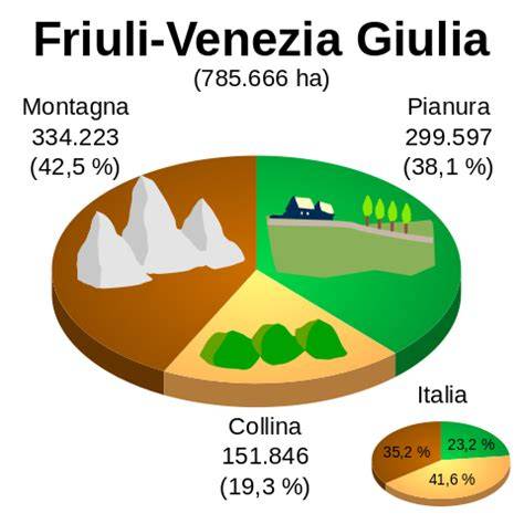 grafico rete gas metano Friuli Venezia Giulia