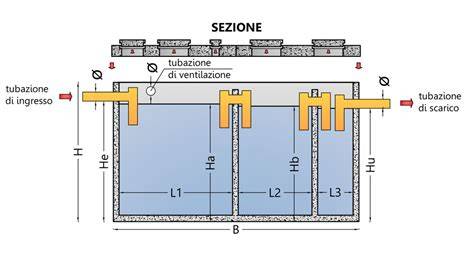 schema strutturale fosse biologiche