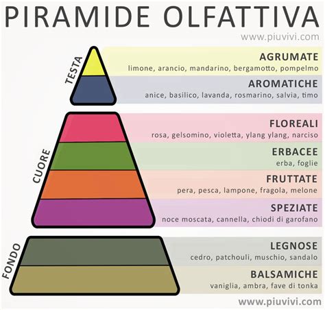 Schema note di profumi: testa-cuore-fondo