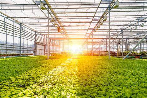 schema di controllo climatico in serra