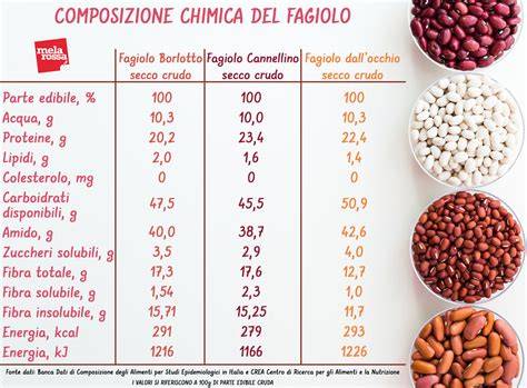 grafico nutrizionale dei fagioli in scatola