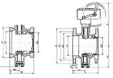 valvole a sfera diagramma portata e disposizione