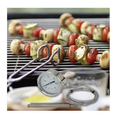 diagramma posizionamento sonda barbecue