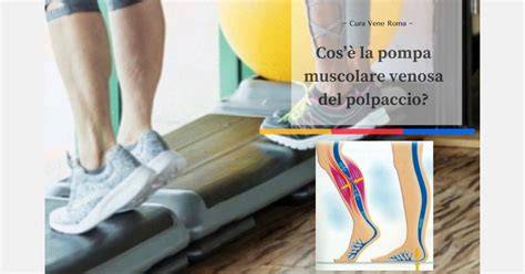 pompare vene pompa venosa anatomia